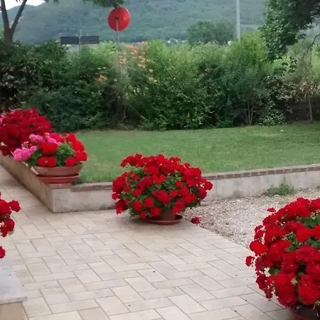 Igerani Assisi
